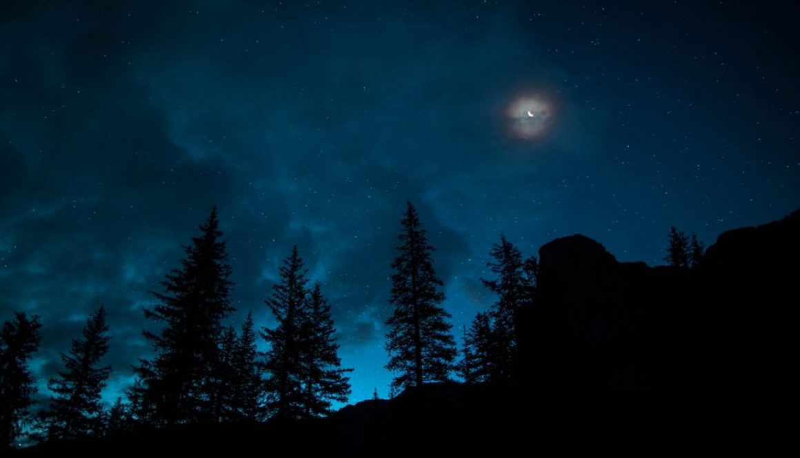 roberto-nickson-DauE-Q425nU-unsplash