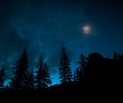 roberto-nickson-DauE-Q425nU-unsplash